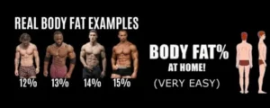 Army Body Fat Calculator