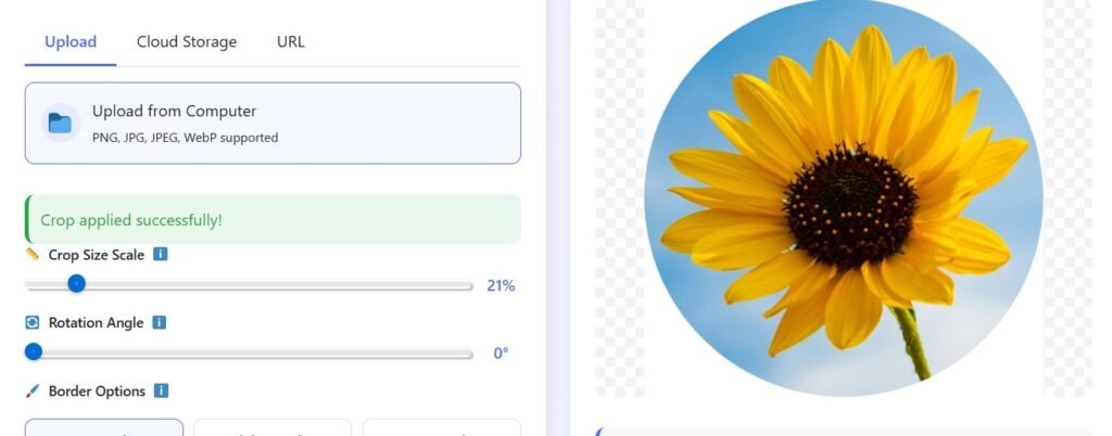 Circle crop editor showing a thin pink border applied to a round photo.