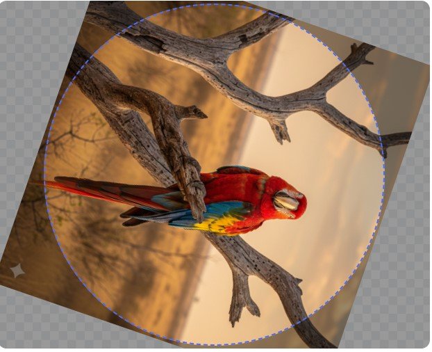 Toolxi circle crop editor showing zoom and rotation controls.