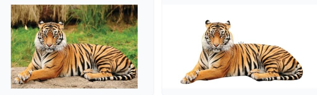 Remove background from image online free no sign up